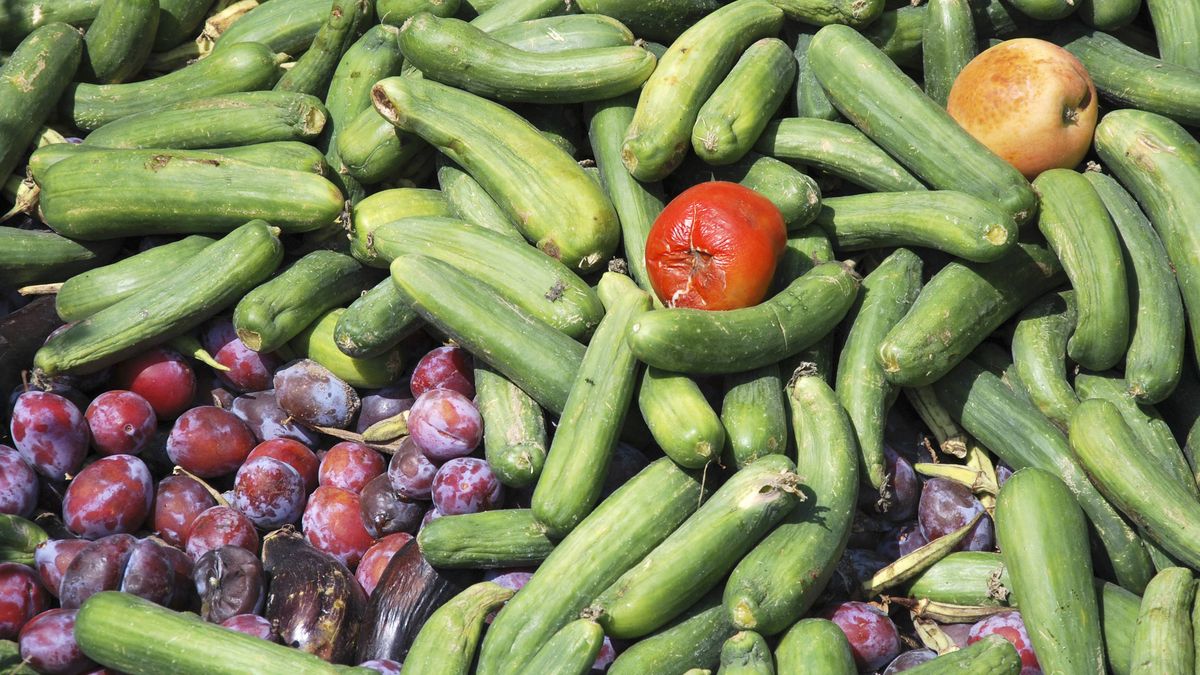 "Containern" bleibt illegal