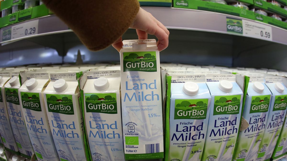 Bio-Angebot beim Discounter bedroht Fachhändler