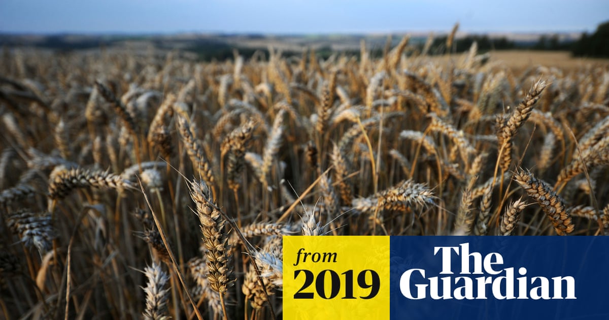 Candidate to run global food body will 'not defend' EU stance on GM